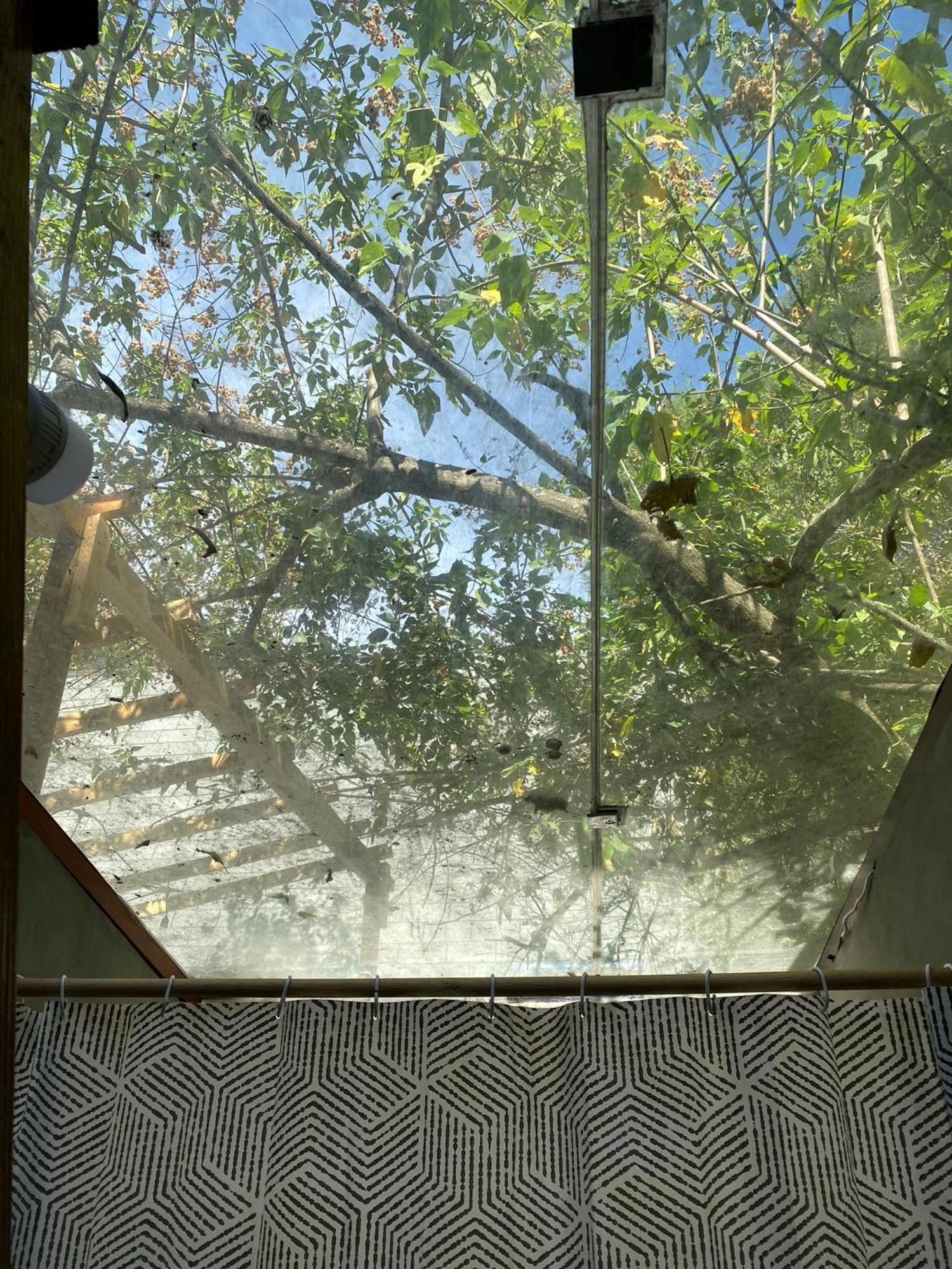 Cabanas Alpina, Romantica Y Acogedora A 10 Minutos Del Centro Tepoztlán Extérieur photo
