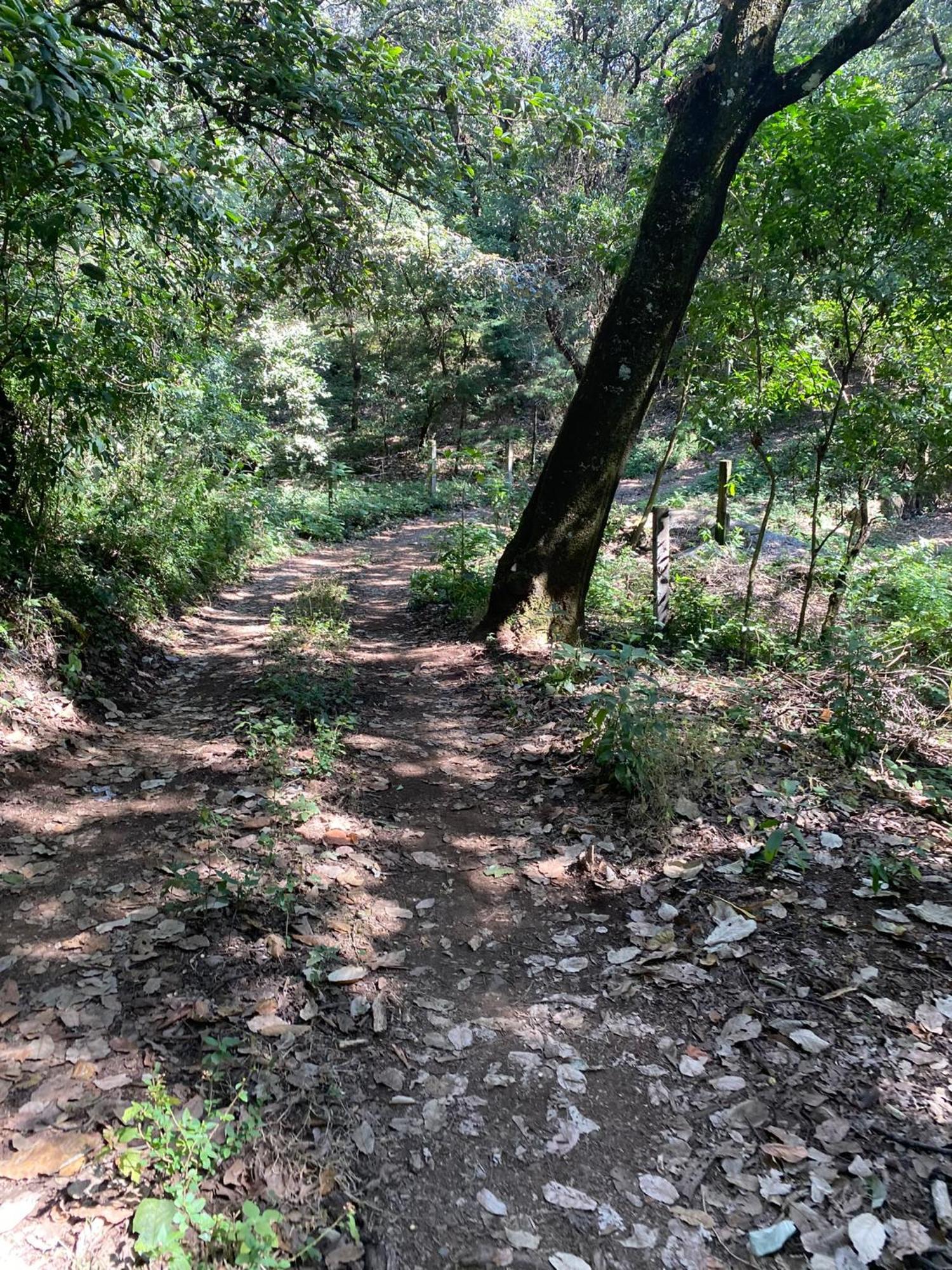 Cabanas Alpina, Romantica Y Acogedora A 10 Minutos Del Centro Tepoztlán Extérieur photo